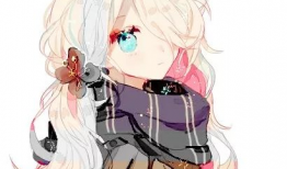 动漫 女孩,梦想与成长的旋律